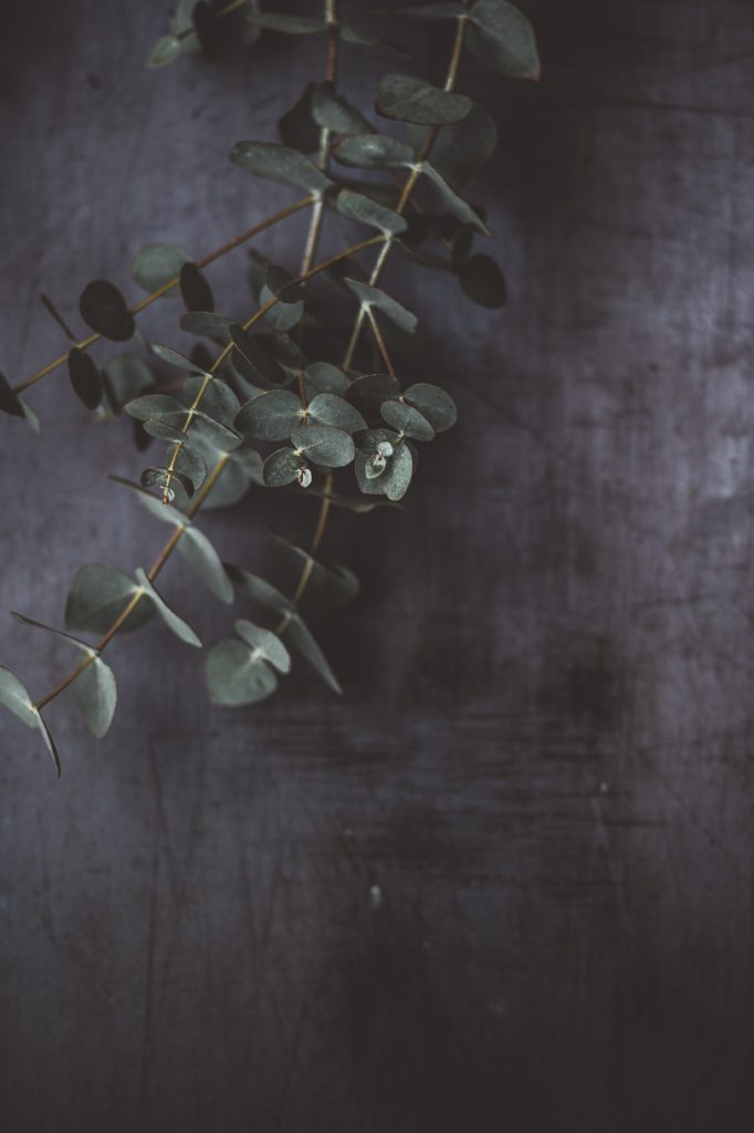 Annie spratt 533329 unsplash