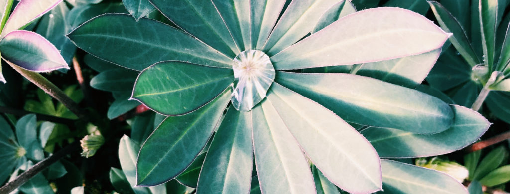 Processed with vsco with c1 preset